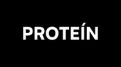 Protein